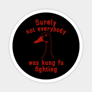 Surely Not Everybody Was Kung Fu Fighting Magnet